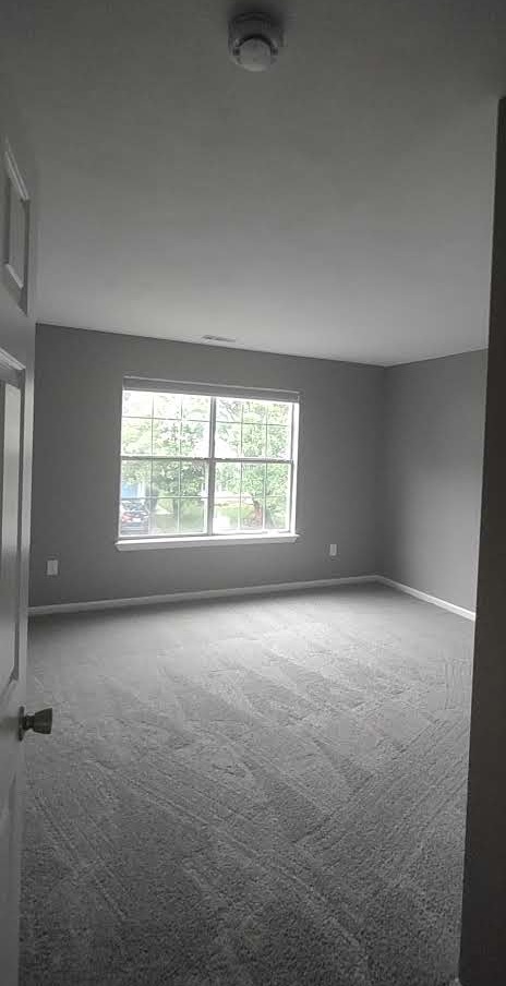 Gallery Photo 27