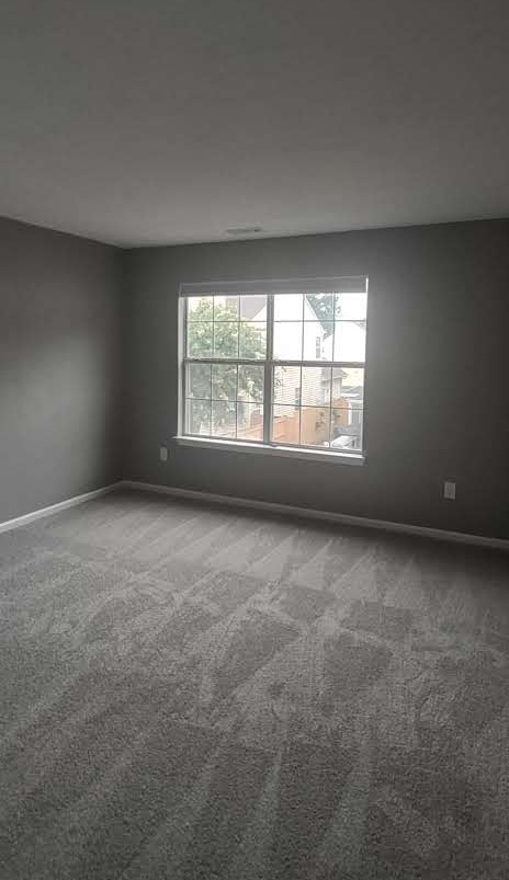 Gallery Photo 28