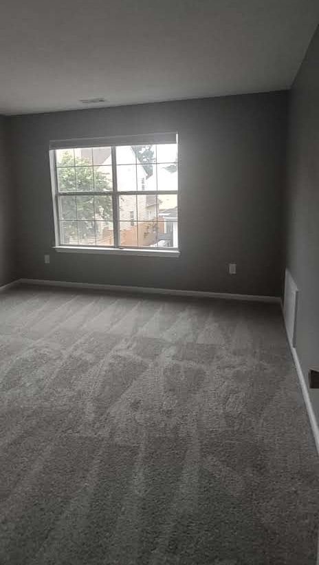 Gallery Photo 29