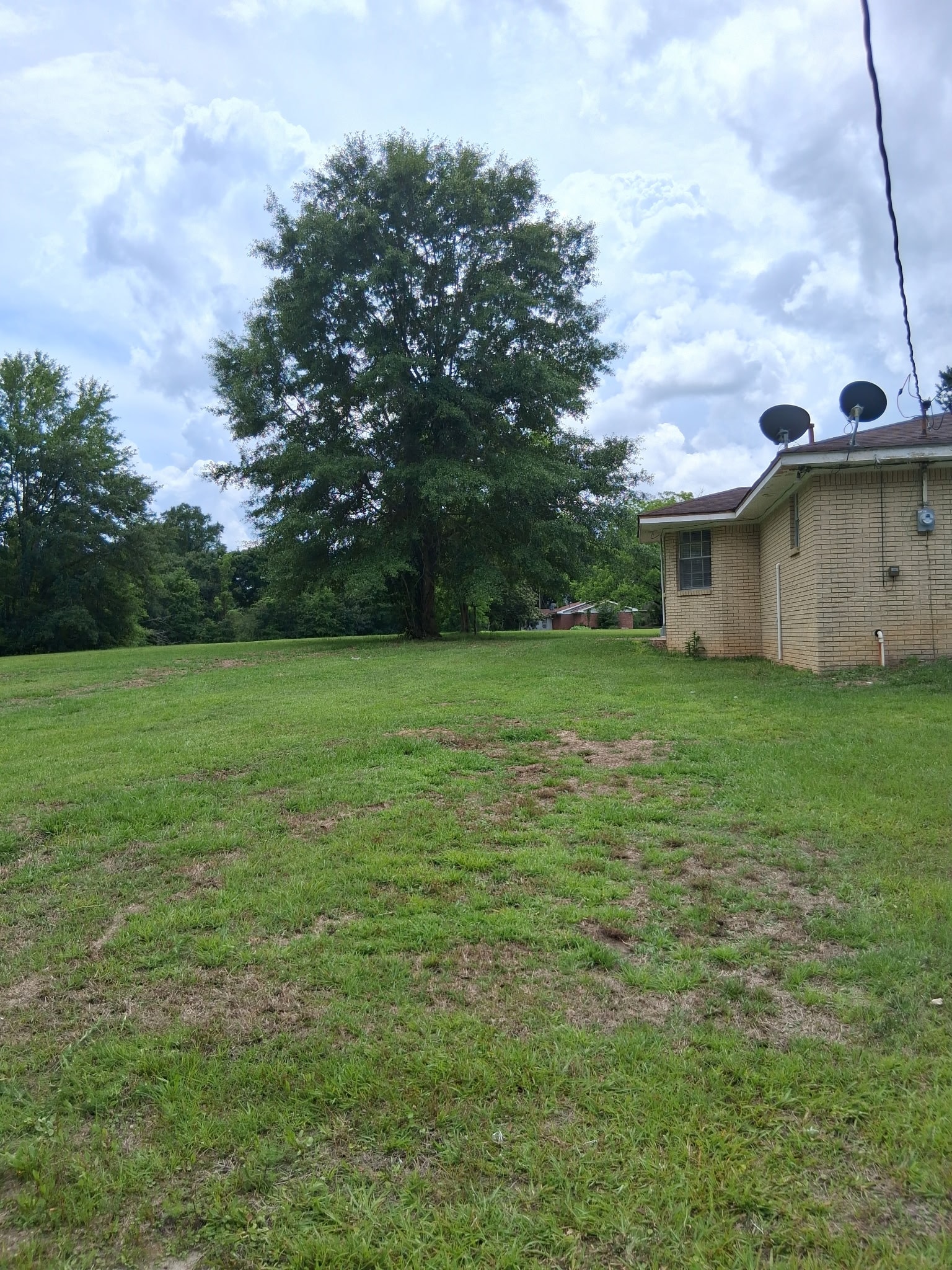 Gallery Photo 2