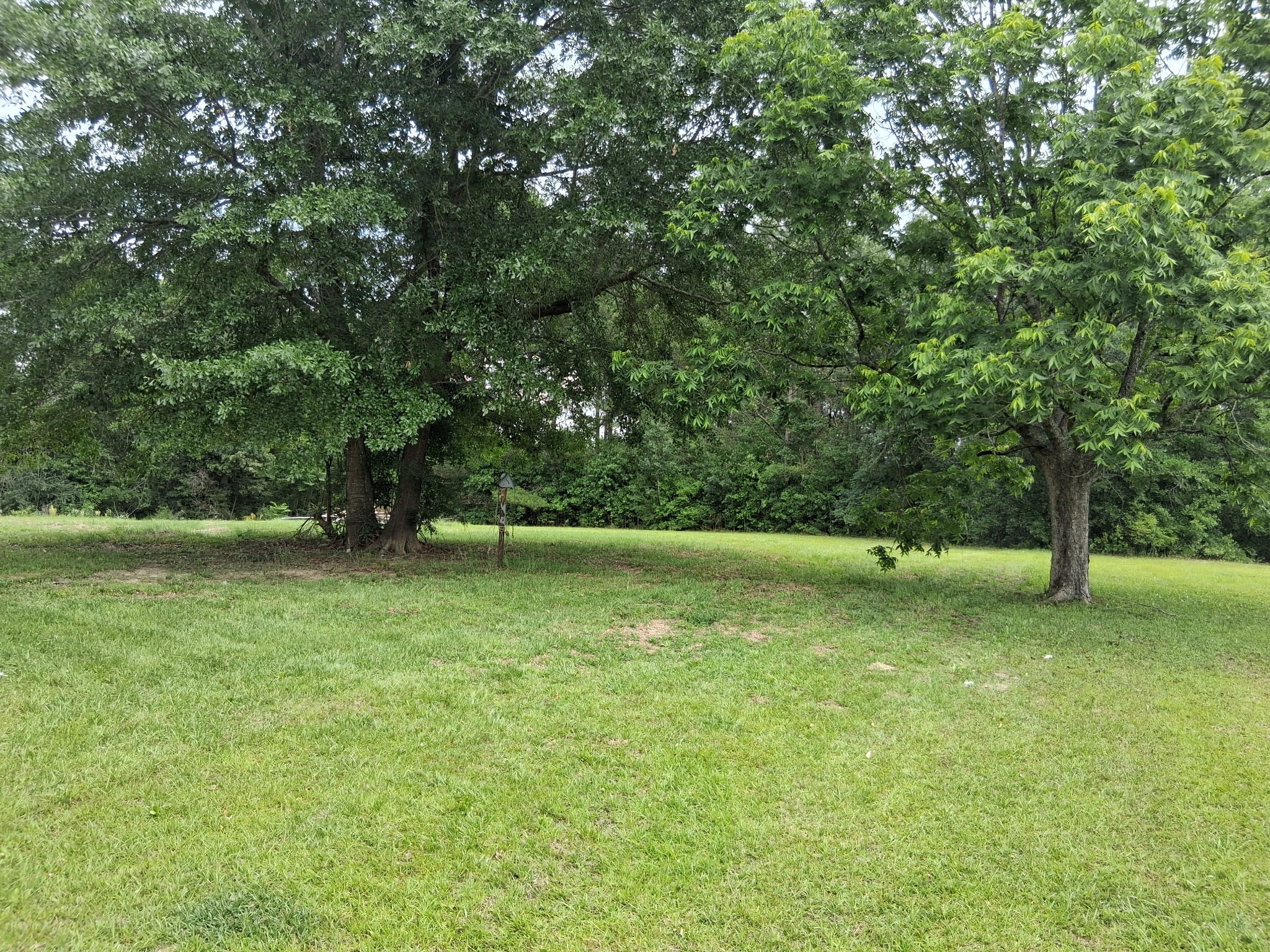 Gallery Photo 7