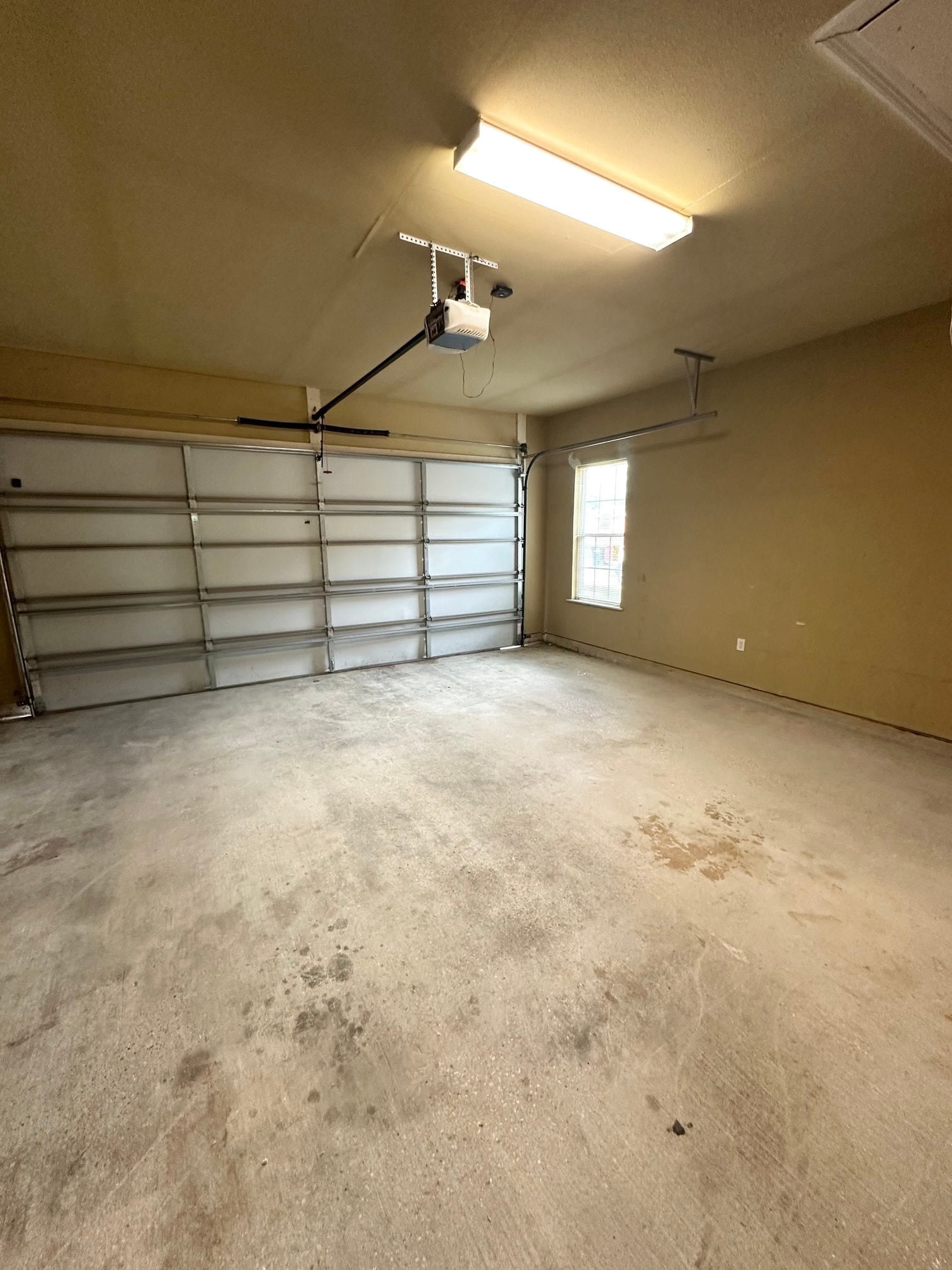 Gallery Photo 4