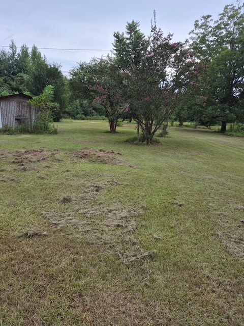 Gallery Photo 6