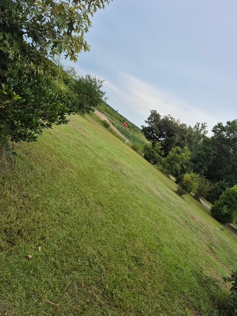 Gallery Photo 3