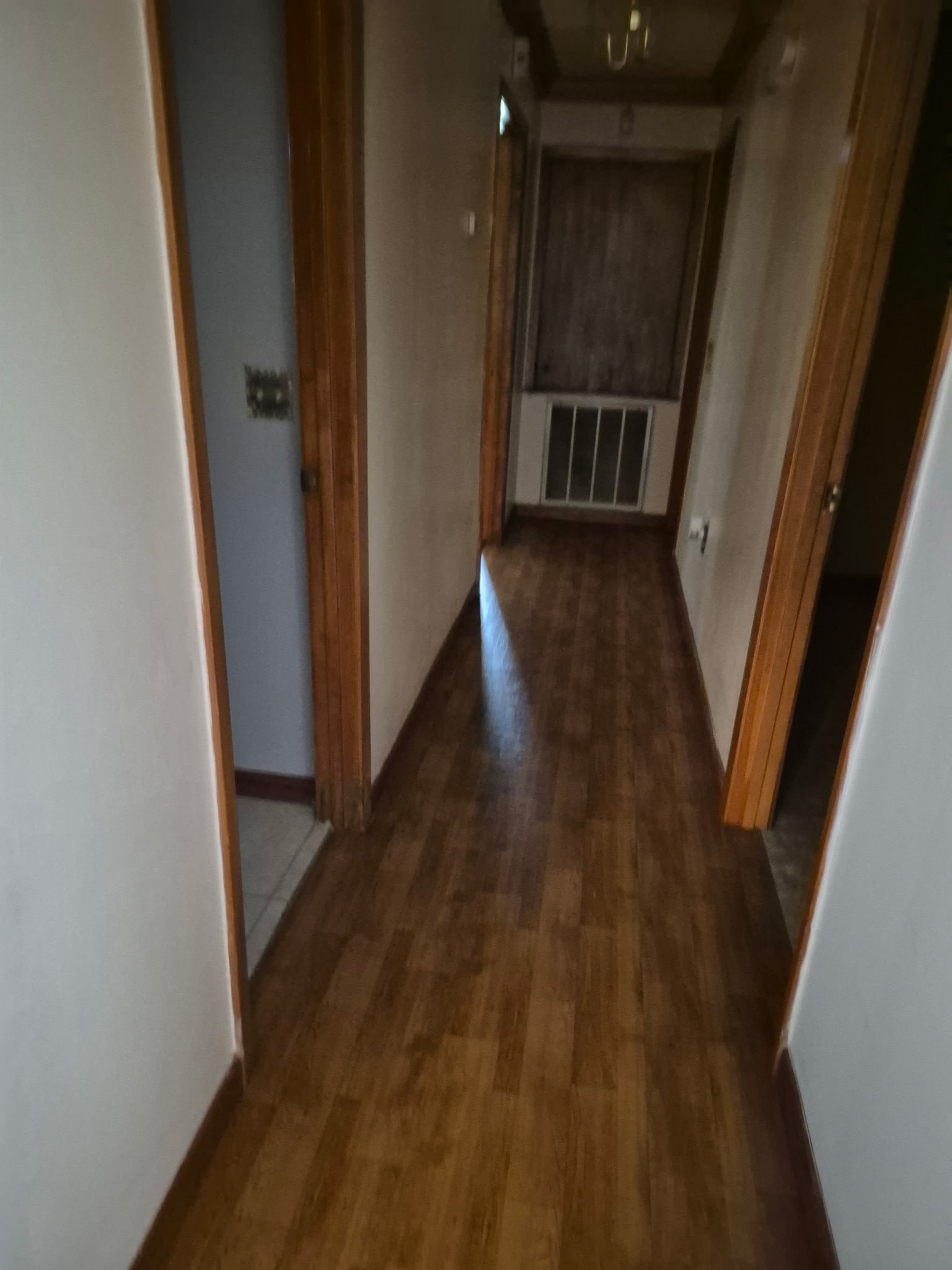 Gallery Photo 11