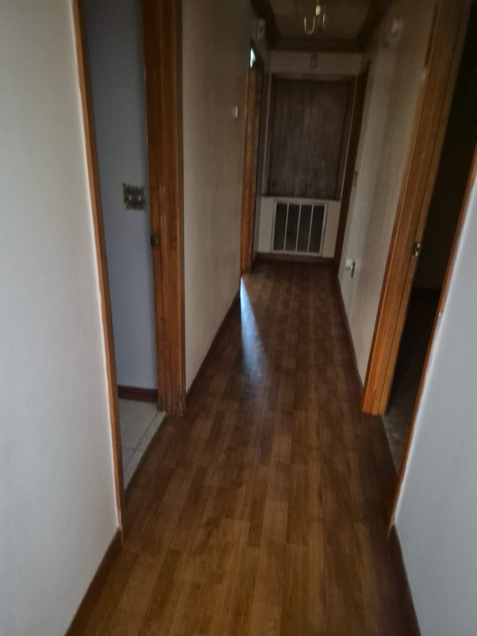 Gallery Photo 11