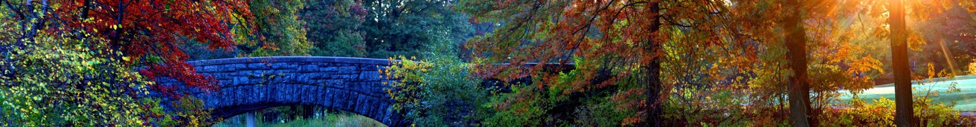 Gallery Photo 0