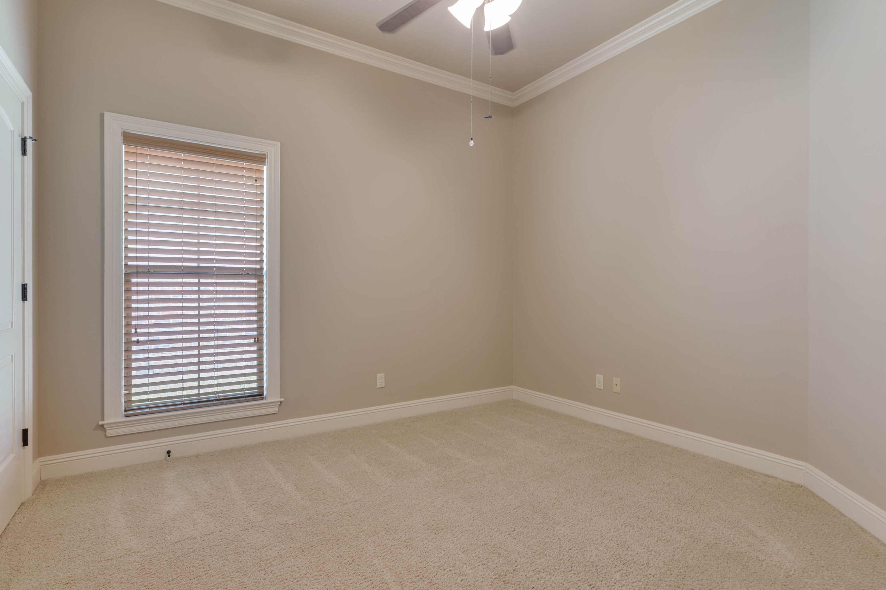 Gallery Photo 12