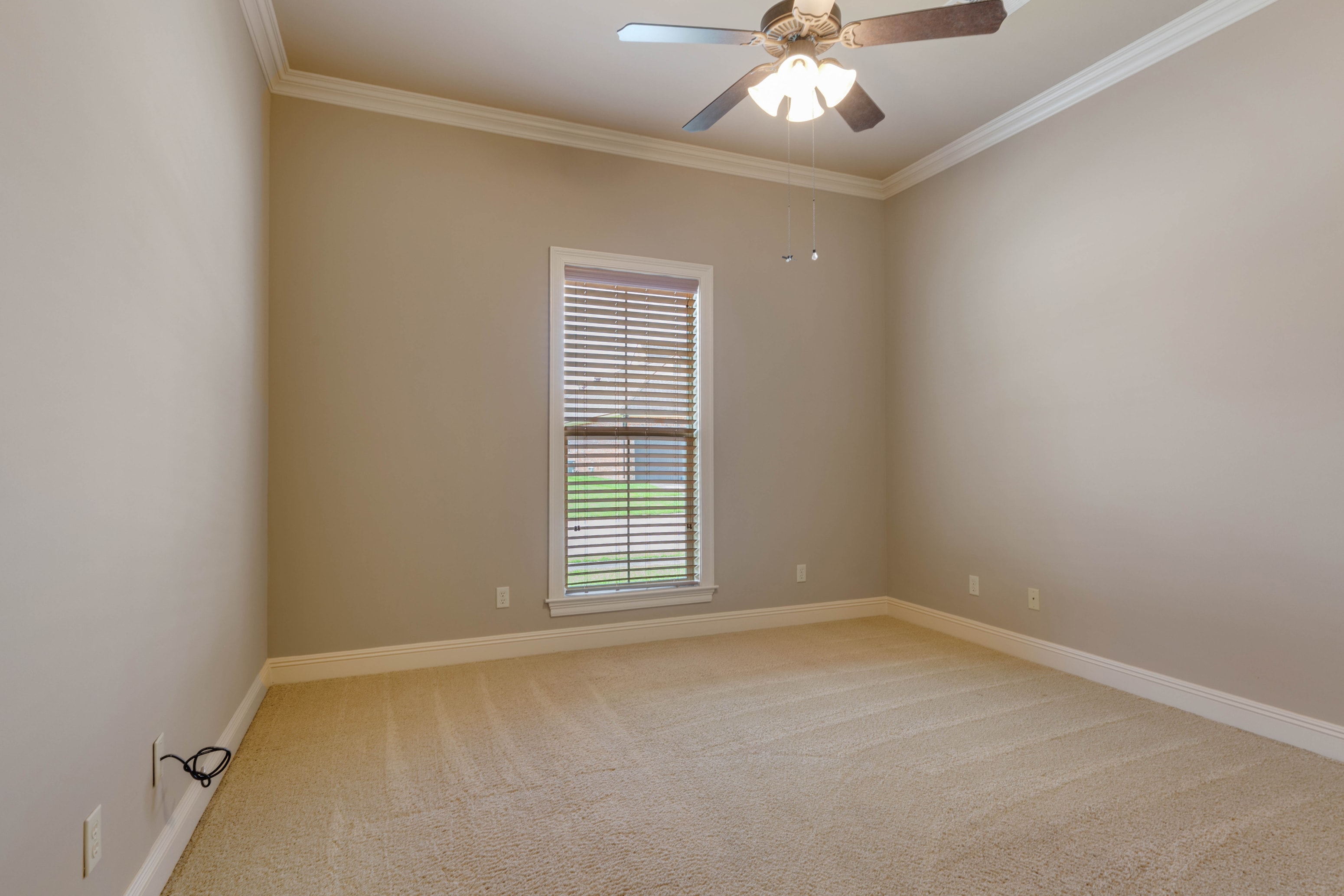 Gallery Photo 17