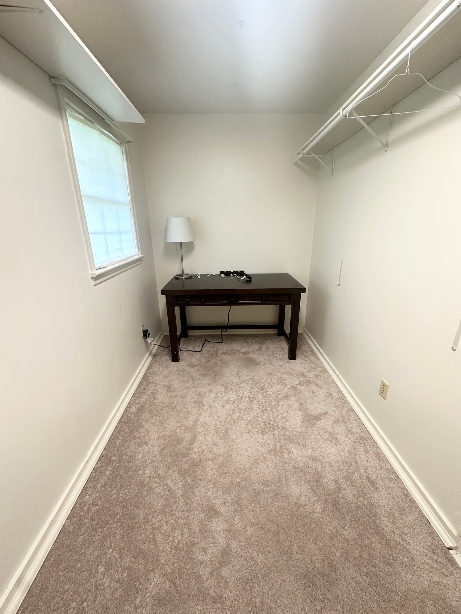 Gallery Photo 5