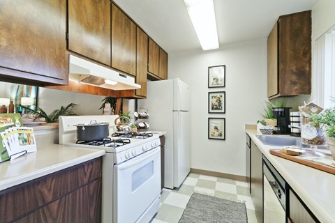Kitchen in an apartment at Suntree