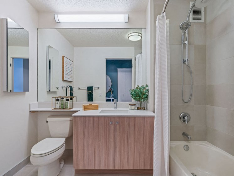 Upgraded luxury bathroom with tile shower and light wood vanity in Kingsbury Plaza apartments in Chicago
