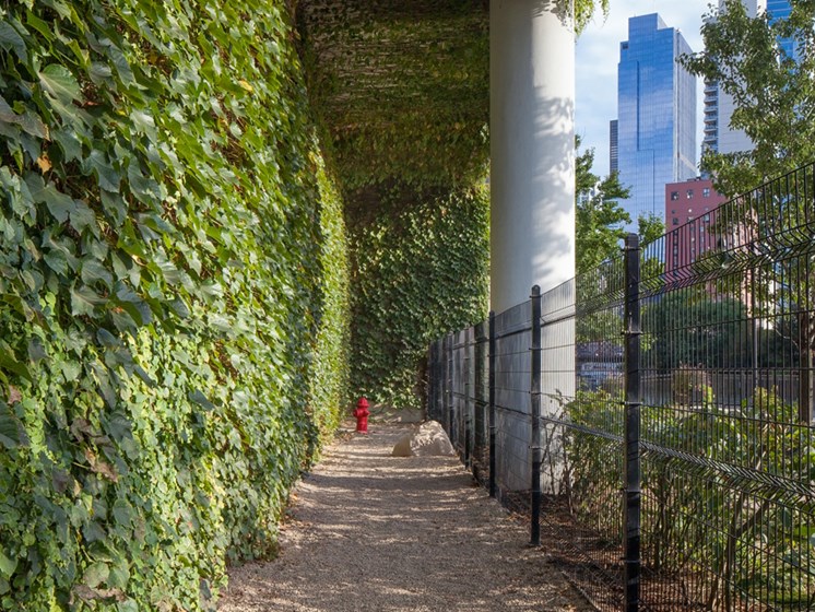 Kingsbury Plaza's fenced in dog run area with greenery located in Chicago's River North neighborhood