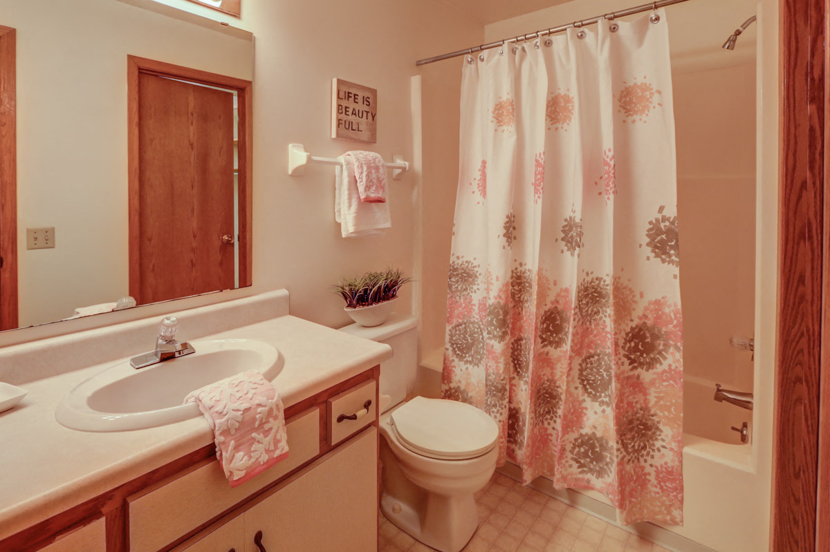 Gallery Photo 7