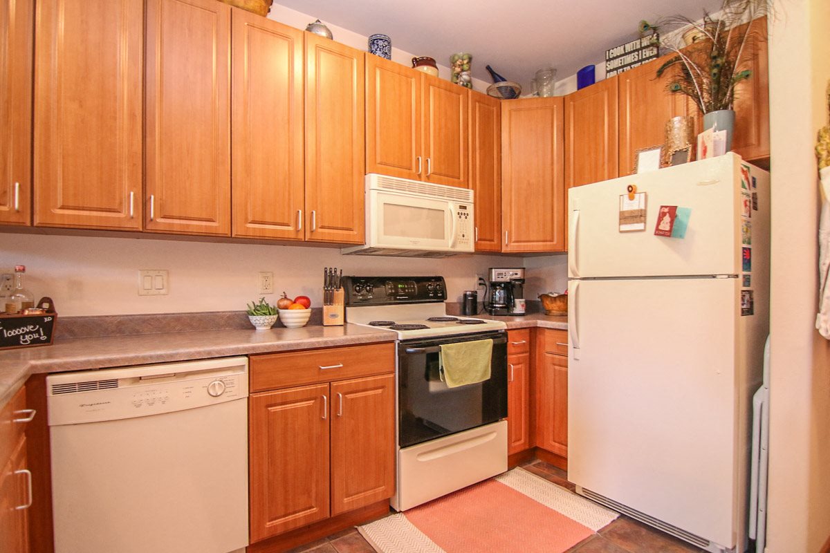 Gallery Photo 11