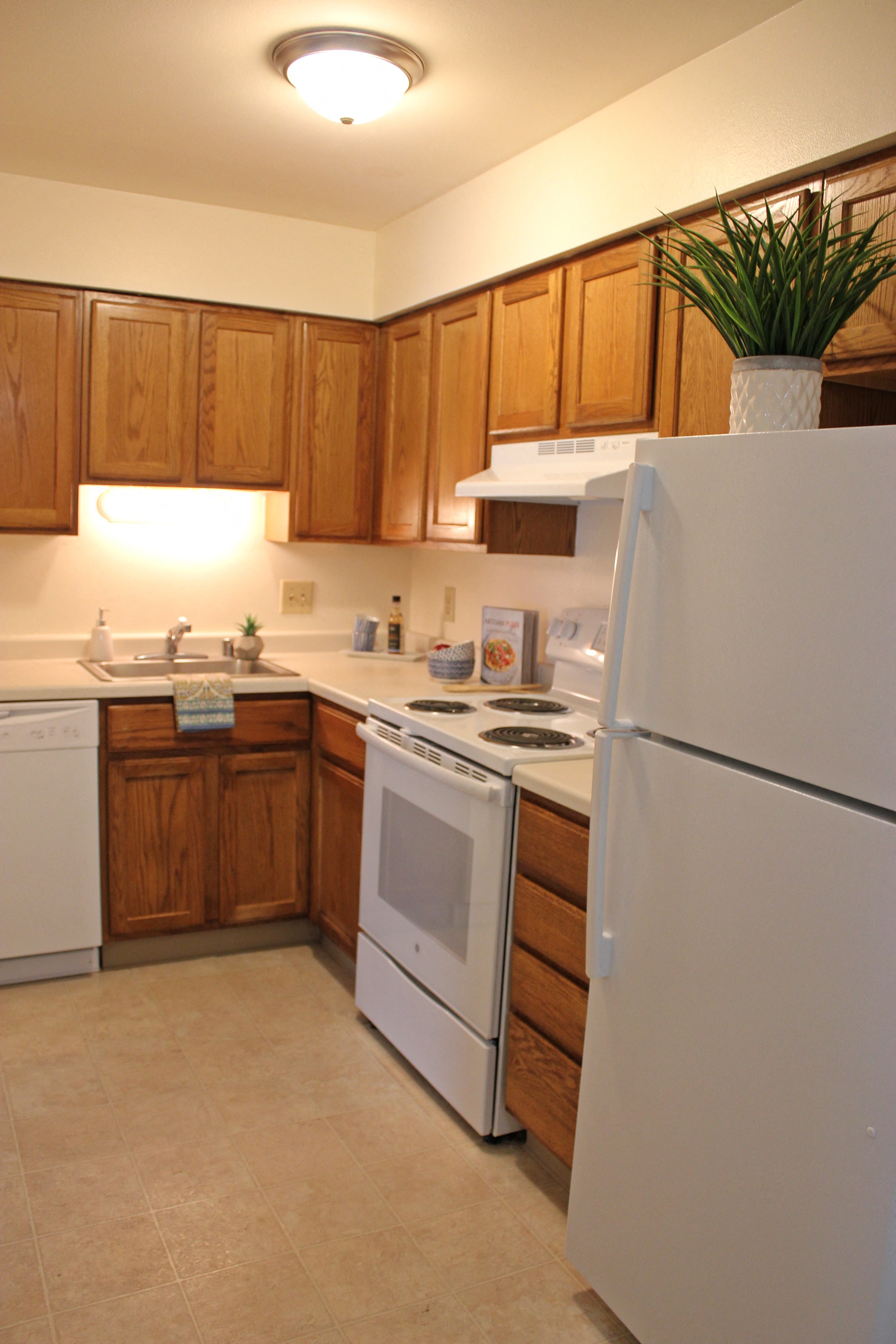 Gallery Photo 11