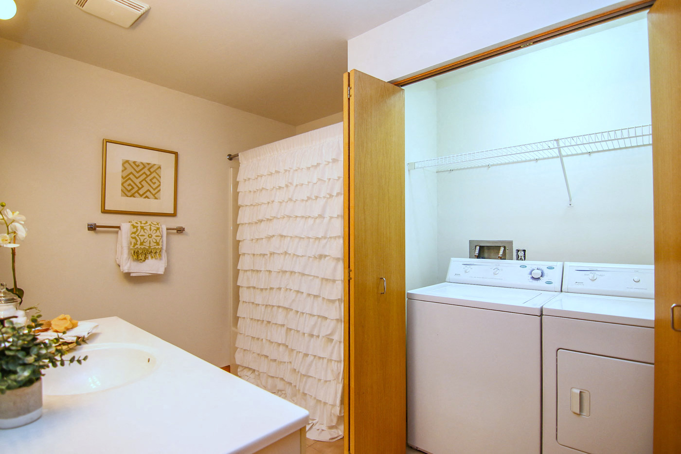 Gallery Photo 6