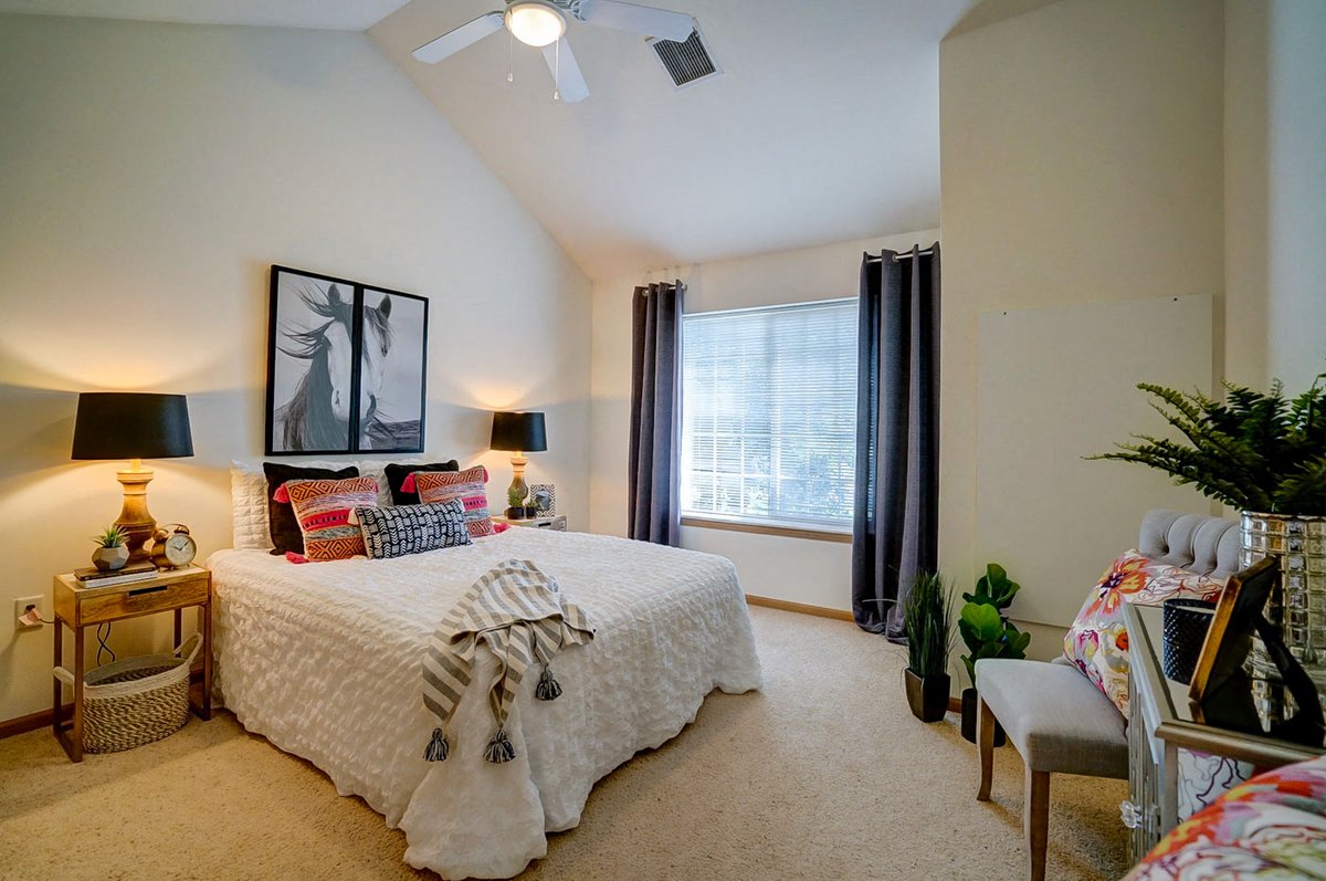 Gallery Photo 6