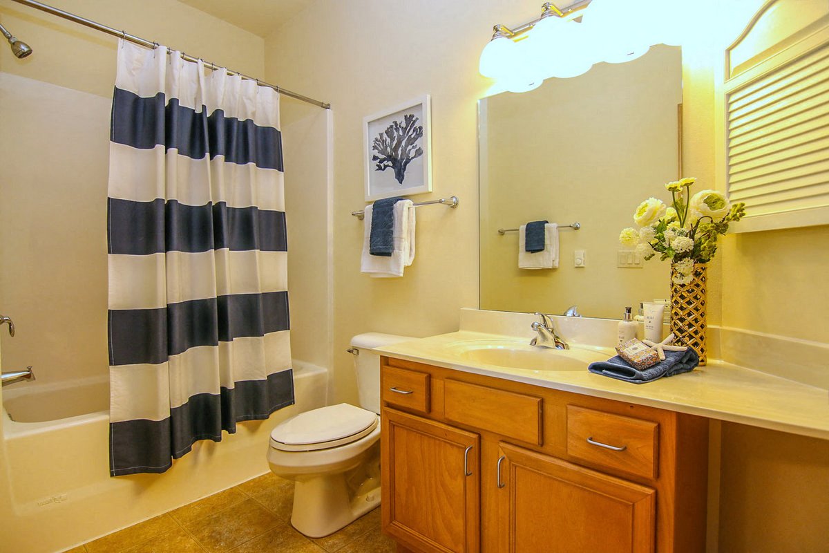 Gallery Photo 4