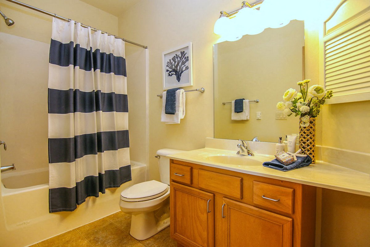 Gallery Photo 7