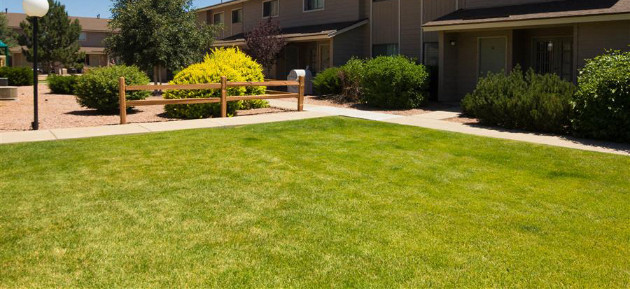 Beautiful Lawns and Park Like Setting at Country Club Vista Apartments, Flagstaff