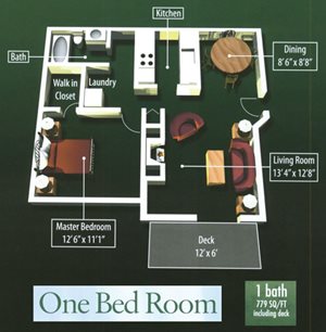 1 Bedroom 1 Bathroom