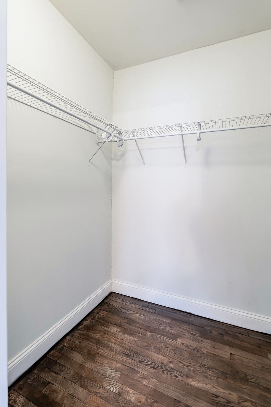 Gallery Photo 8