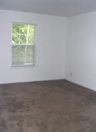 Gallery Photo 7