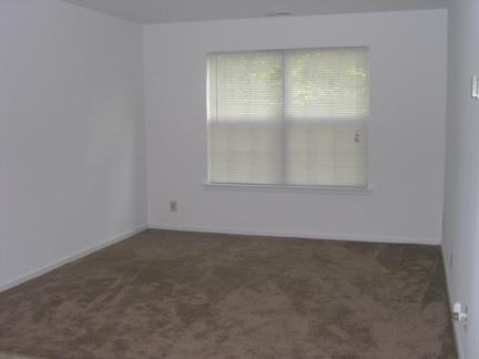 Gallery Photo 5