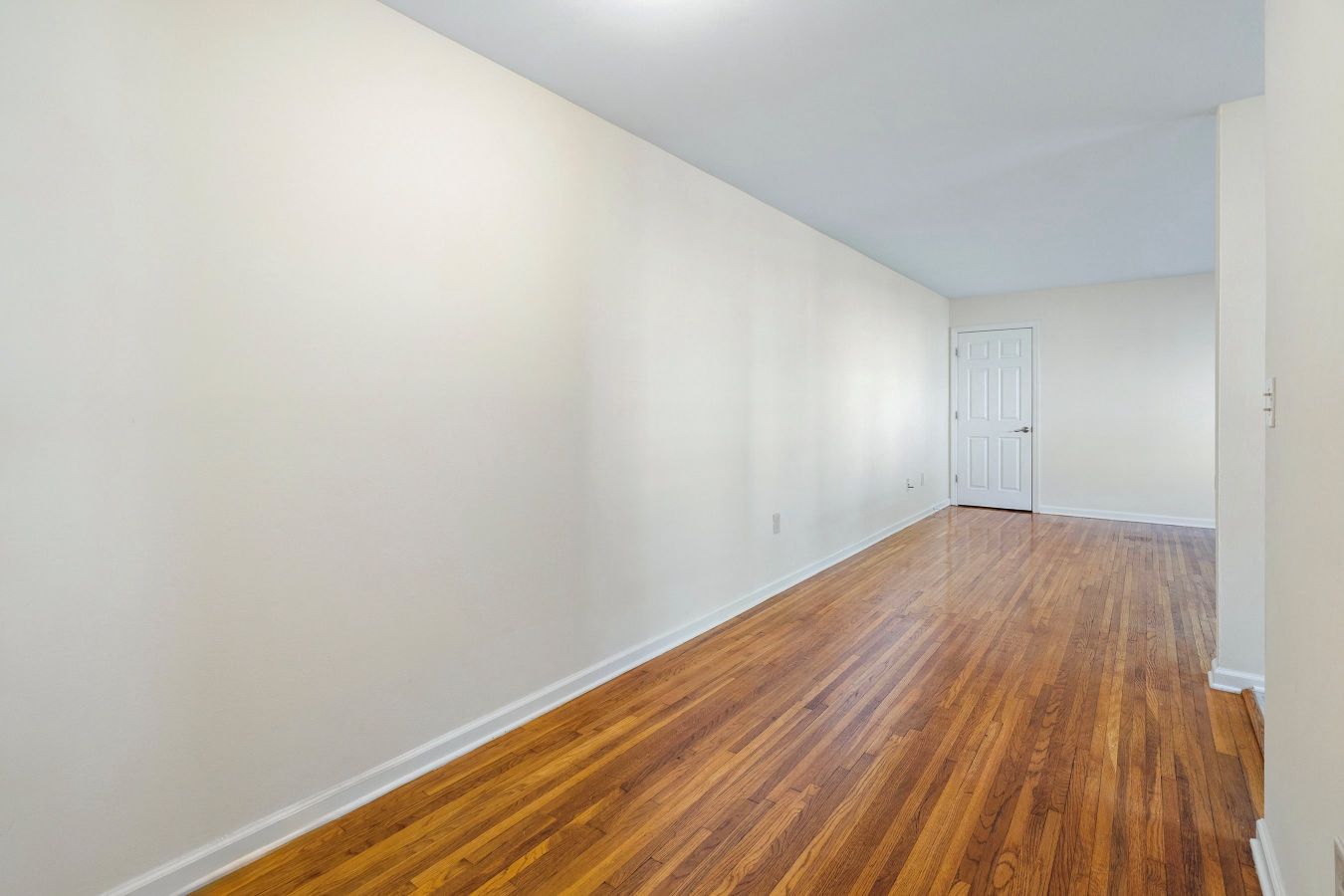 Gallery Photo 21