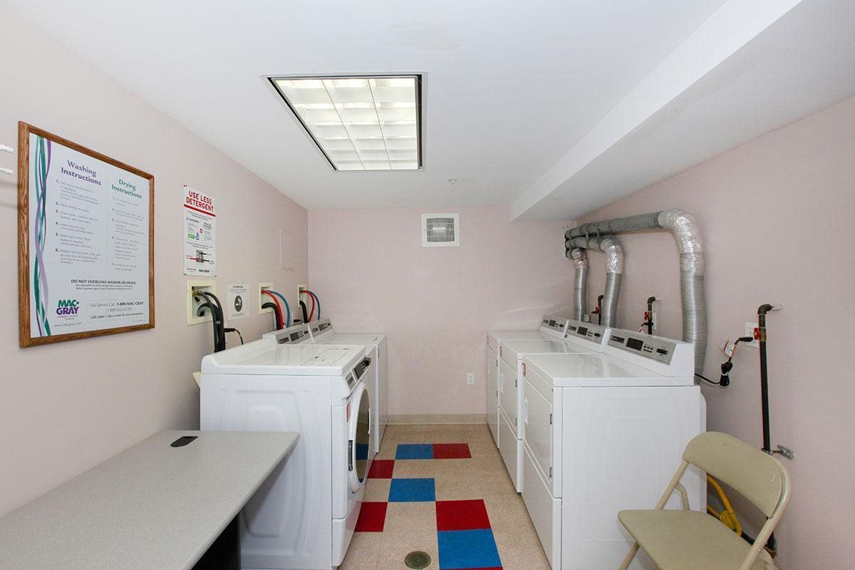 Gallery Photo 11