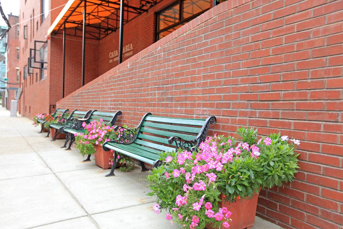 Gallery Photo 0