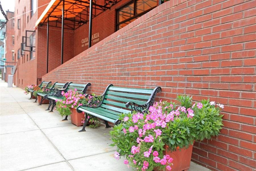 Gallery Photo 4