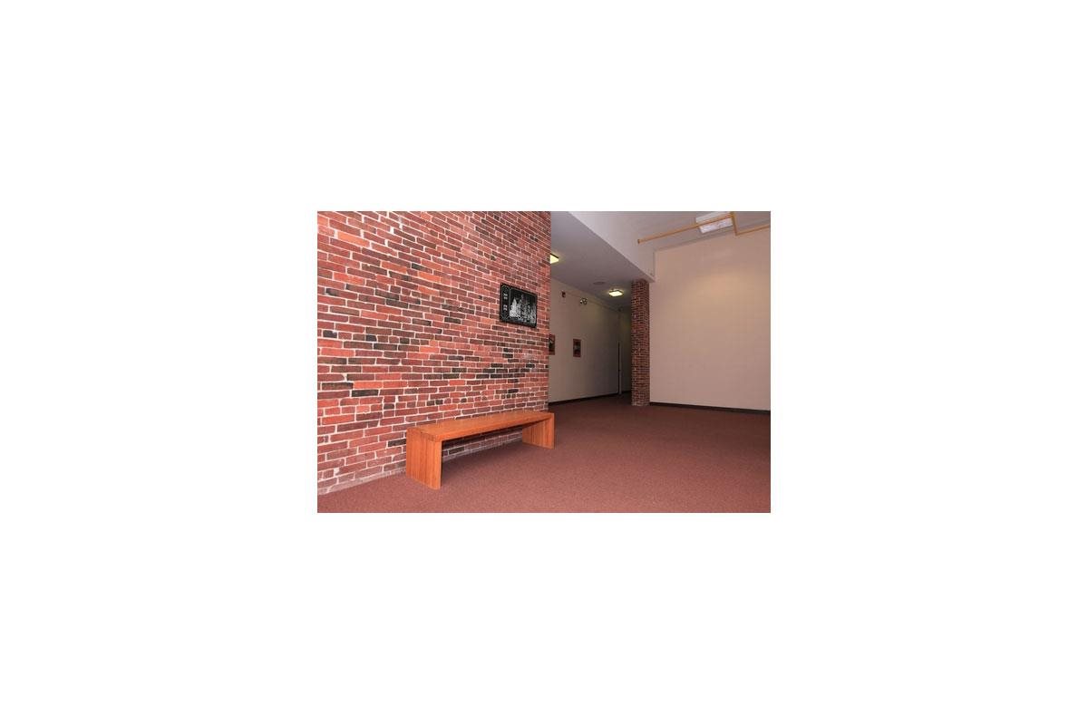 Gallery Photo 12