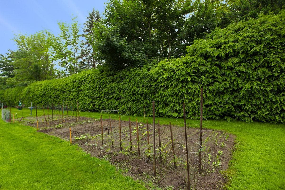 Photos and Video of College Highway Apartments in Easthampton, MA