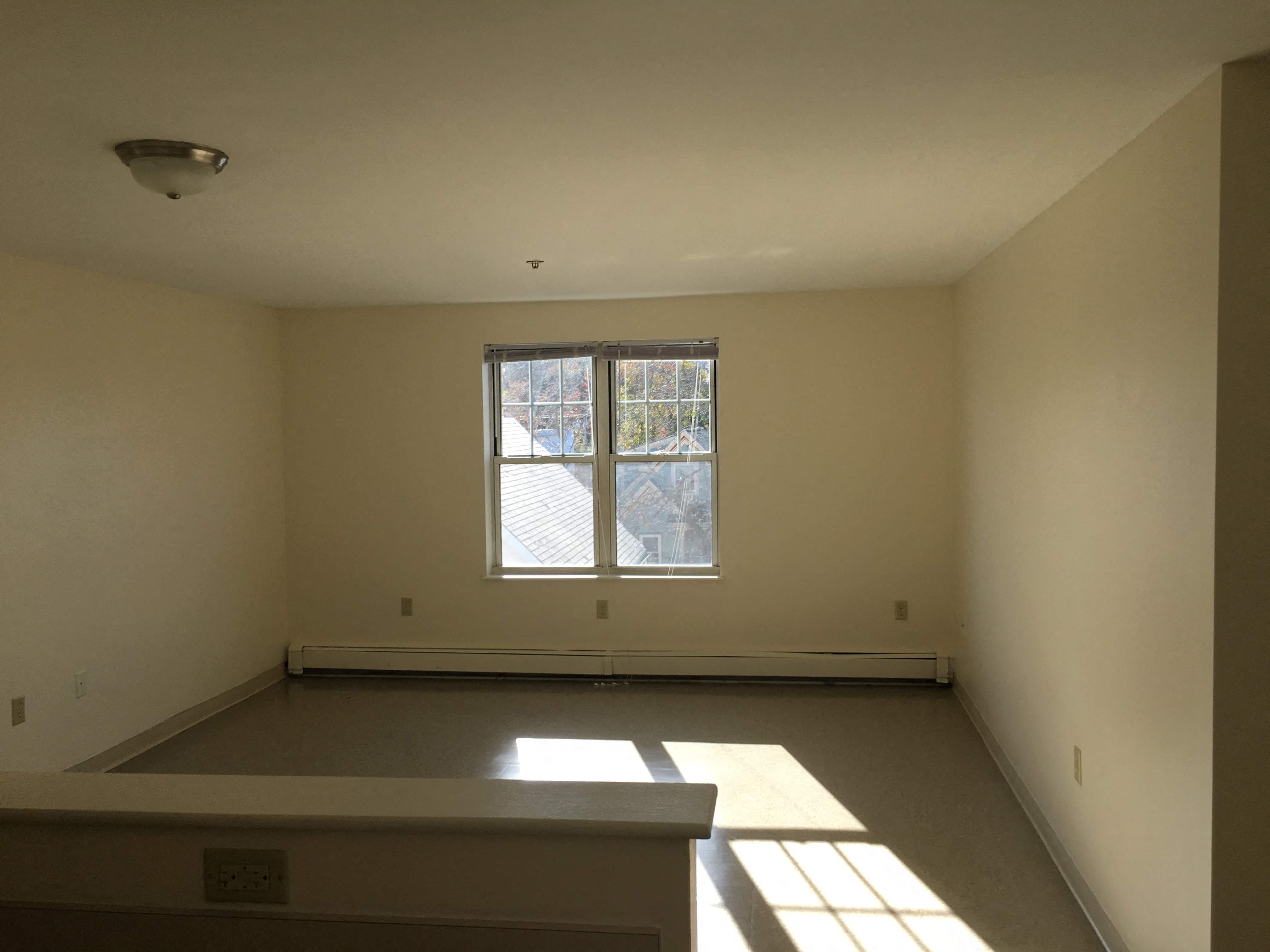 Gallery Photo 16
