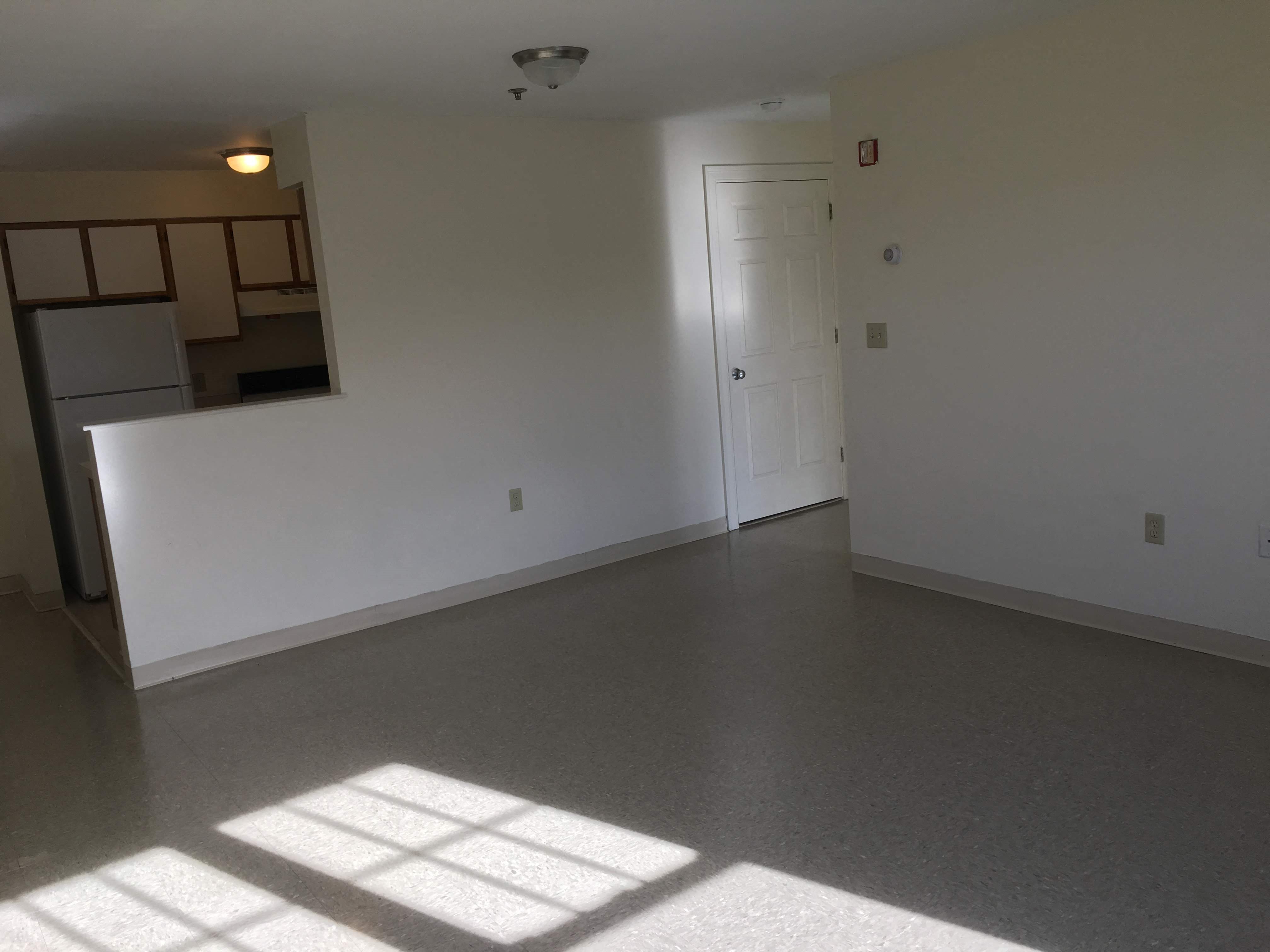 Gallery Photo 15