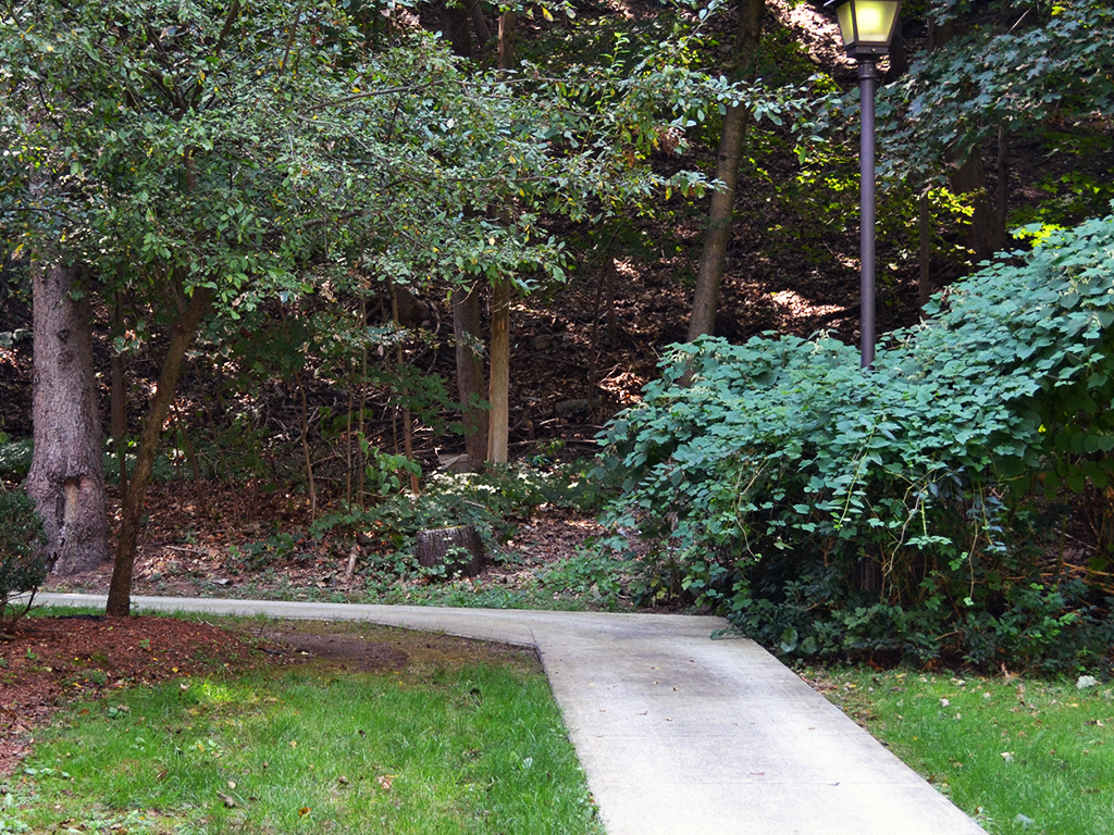 Gallery Photo 15