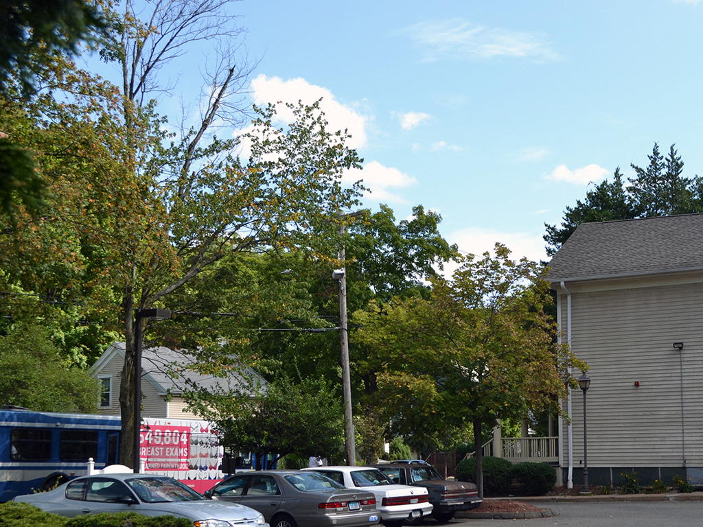 Gallery Photo 16