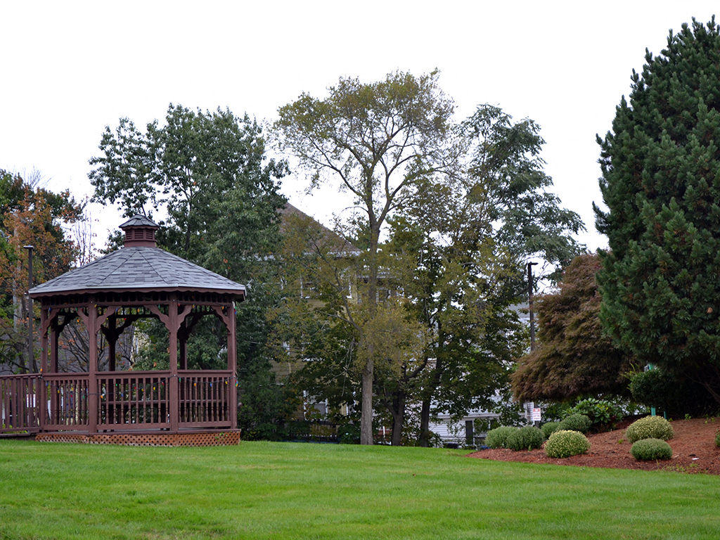 Gallery Photo 5