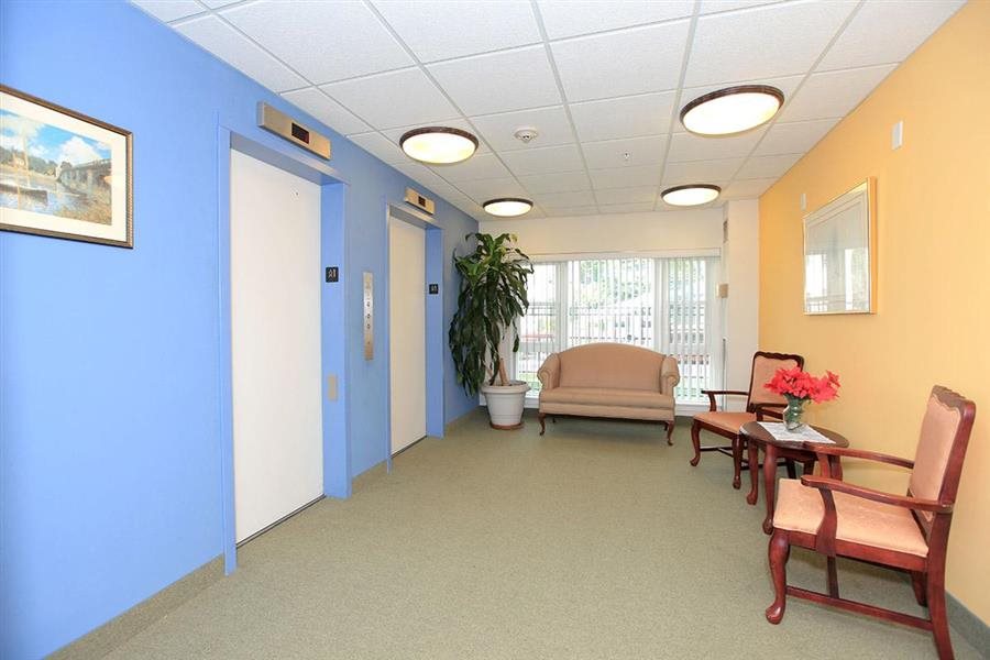Gallery Photo 11