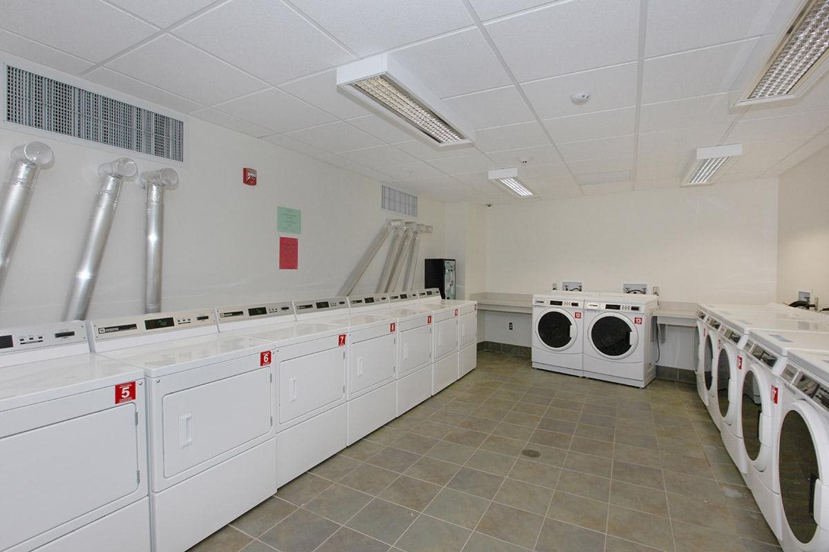 Gallery Photo 8