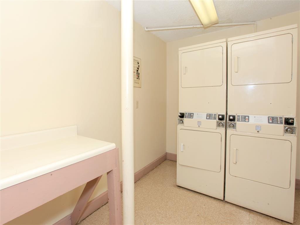 Gallery Photo 8