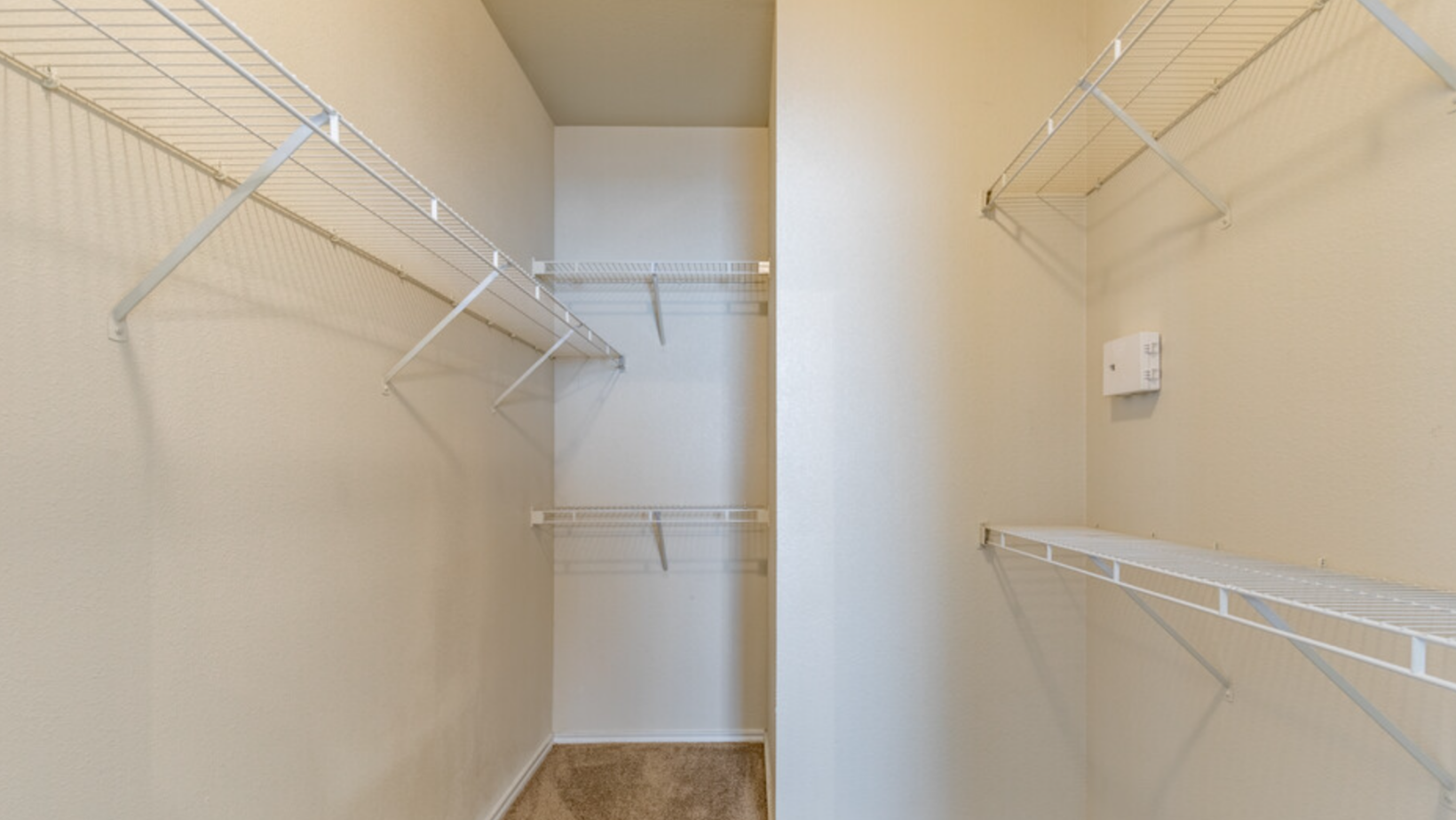 Gallery Photo 11