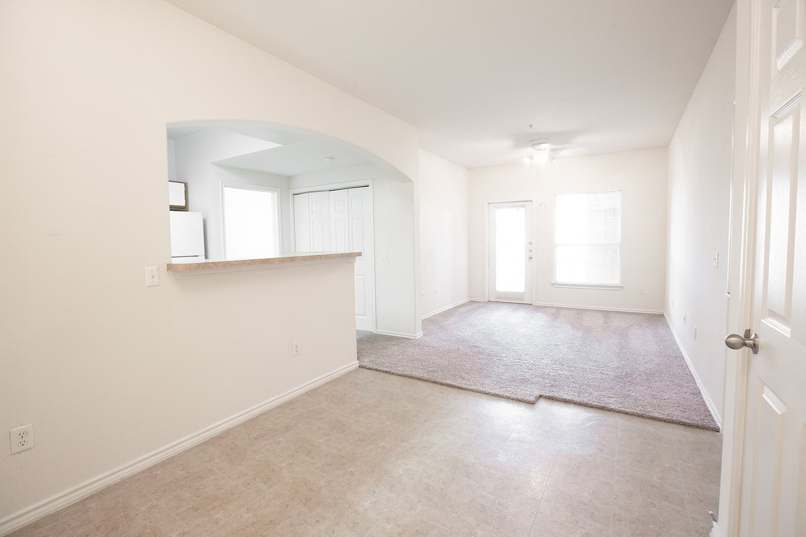 Gallery Photo 10