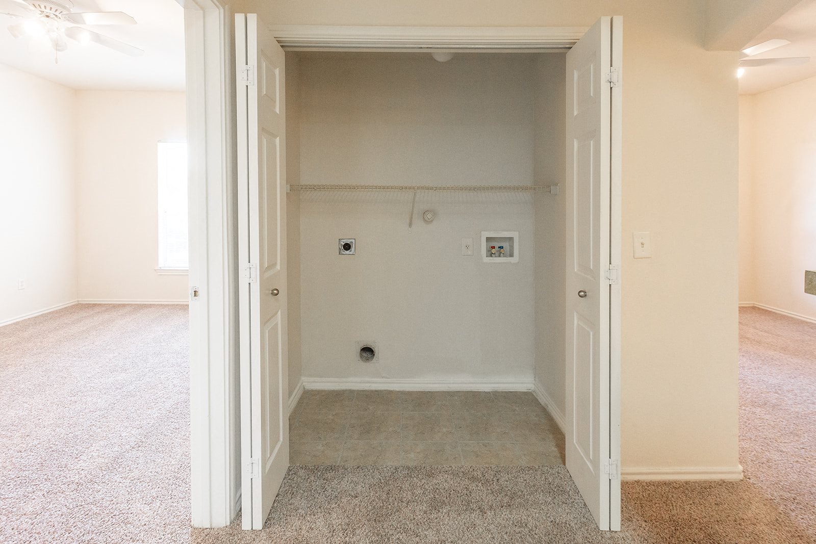 Gallery Photo 14