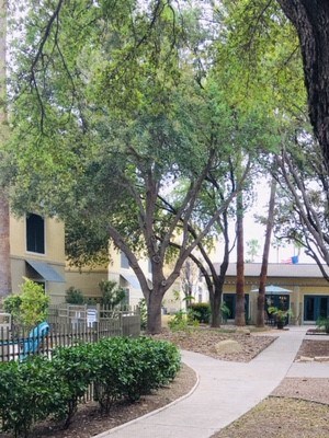 Landscaped courtyards