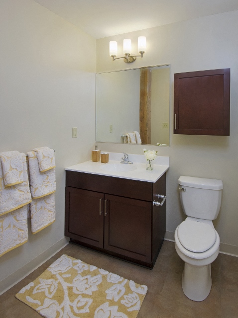 Gallery Photo 7