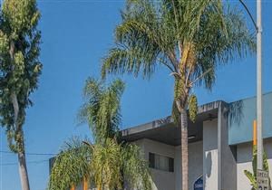 Apartments for Rent