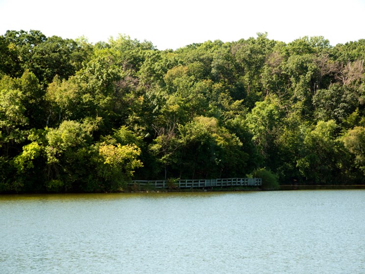 lake with trees on the other side